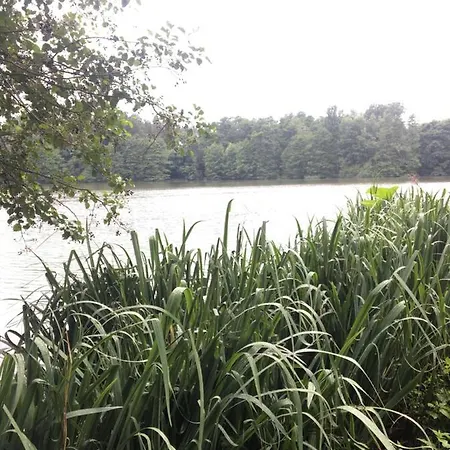 キャンプ場 Maringotka Supina Vyzlovka